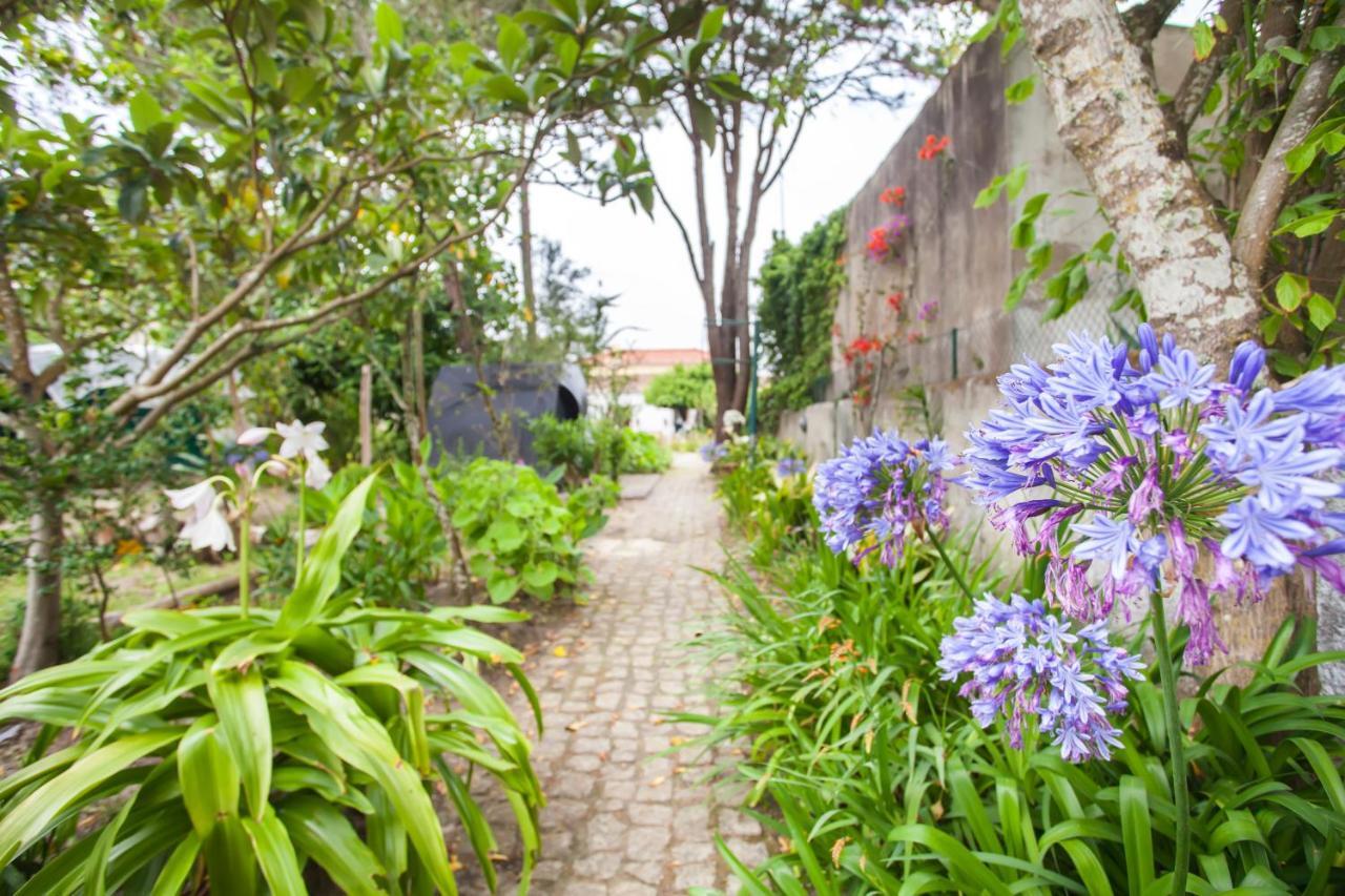 Beautiful Country House&Romantic Garden Sintra Exterior photo