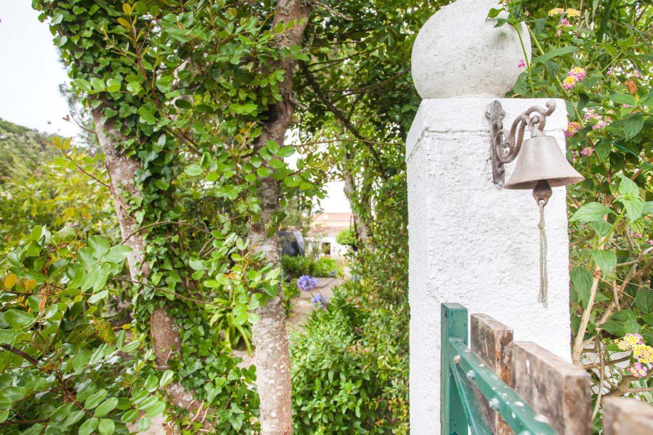 Beautiful Country House&Romantic Garden Sintra Exterior photo